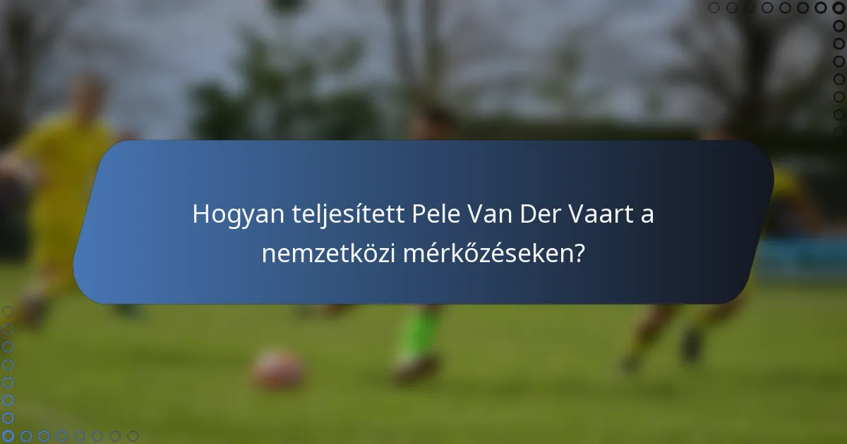 Hogyan teljesített Pele Van Der Vaart a nemzetközi mérkőzéseken?
