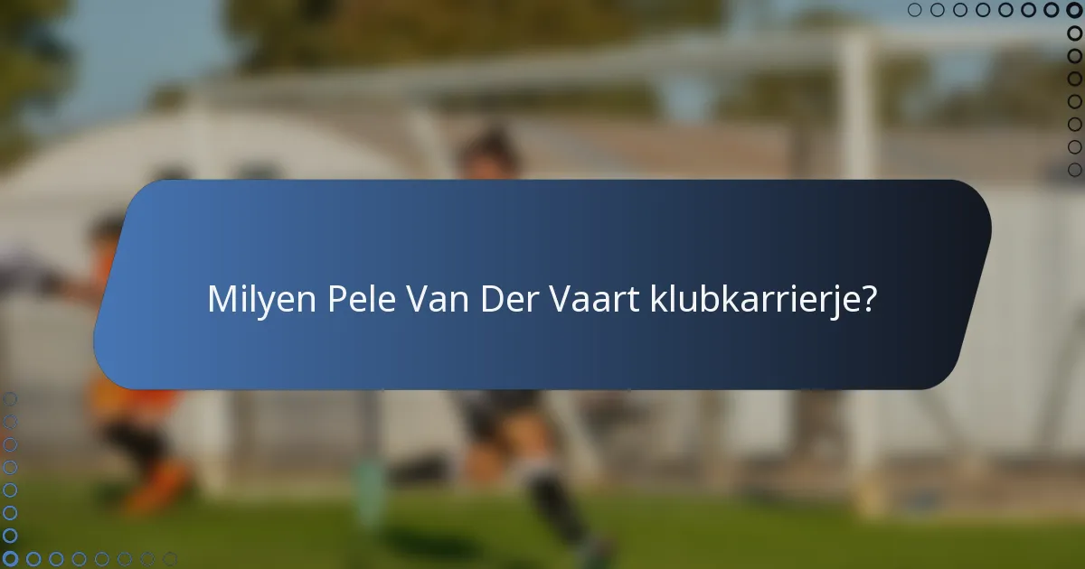 Milyen Pele Van Der Vaart klubkarrierje?